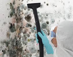 Best Residential Mold Inspection & Testing  in Del Aire, CA